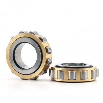14.961 Inch | 380 Millimeter x 20.472 Inch | 520 Millimeter x 3.228 Inch | 82 Millimeter  CONSOLIDATED BEARING NCF-2976V  Cylindrical Roller Bearings