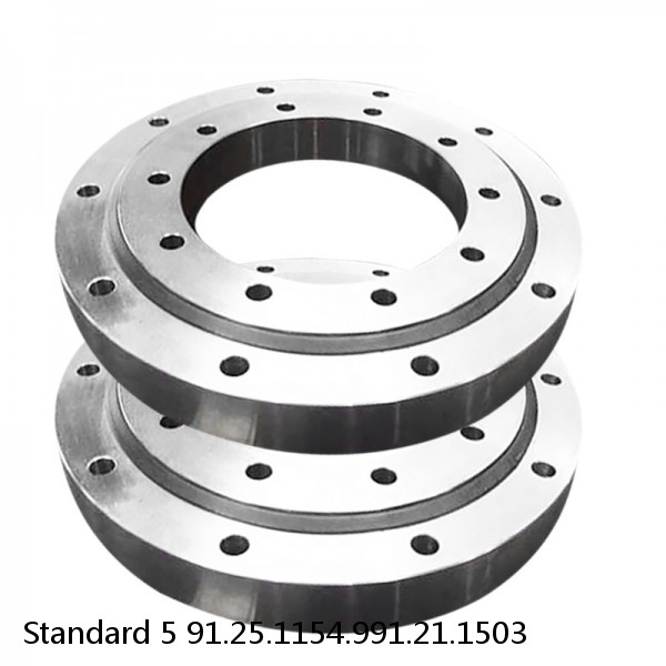 91.25.1154.991.21.1503 Standard 5 Slewing Ring Bearings