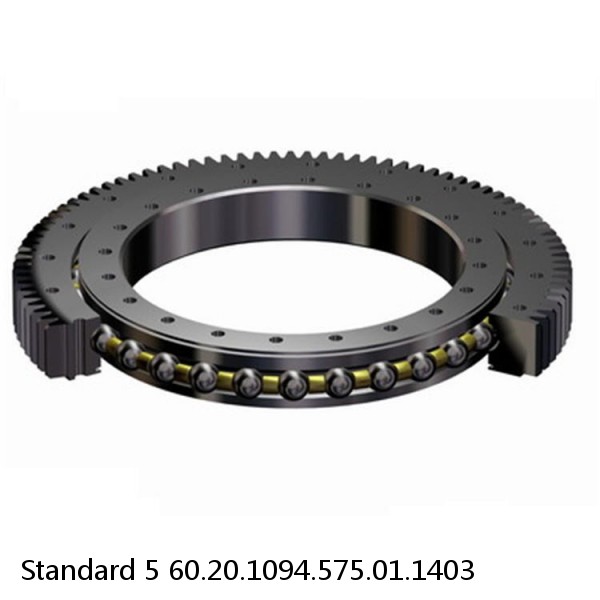 60.20.1094.575.01.1403 Standard 5 Slewing Ring Bearings