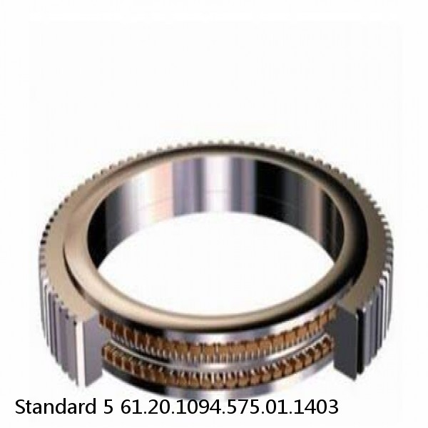 61.20.1094.575.01.1403 Standard 5 Slewing Ring Bearings