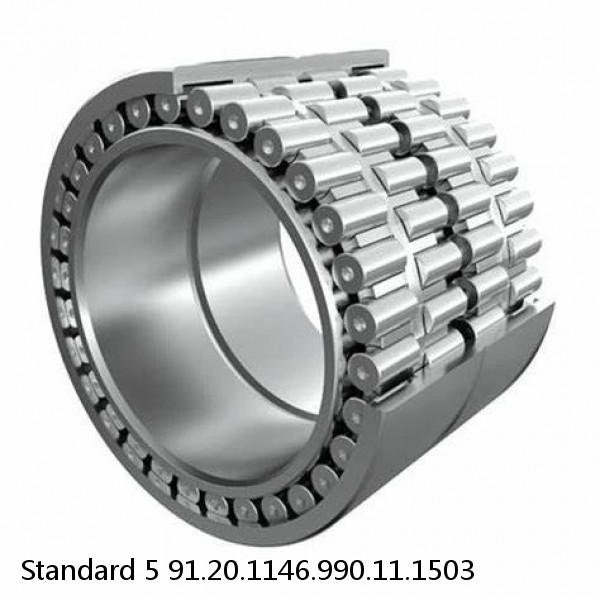 91.20.1146.990.11.1503 Standard 5 Slewing Ring Bearings