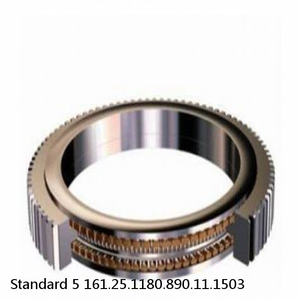 161.25.1180.890.11.1503 Standard 5 Slewing Ring Bearings