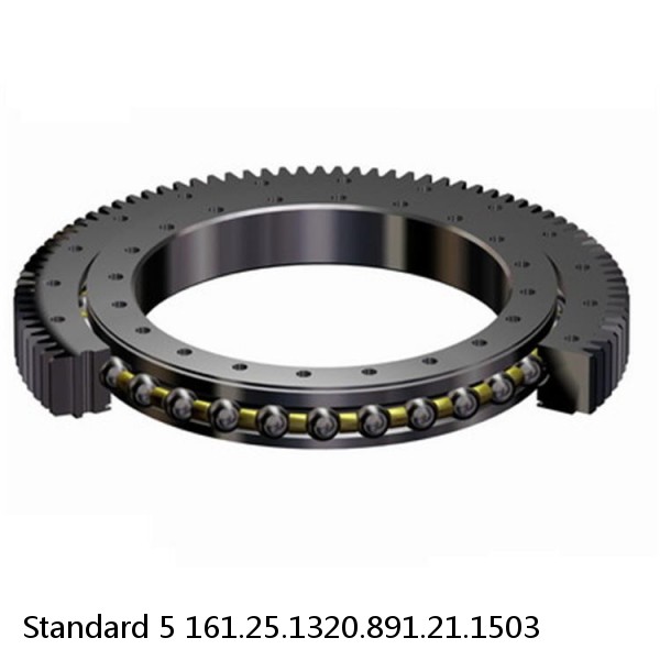 161.25.1320.891.21.1503 Standard 5 Slewing Ring Bearings