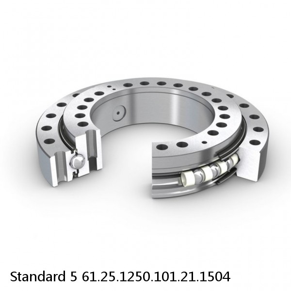 61.25.1250.101.21.1504 Standard 5 Slewing Ring Bearings