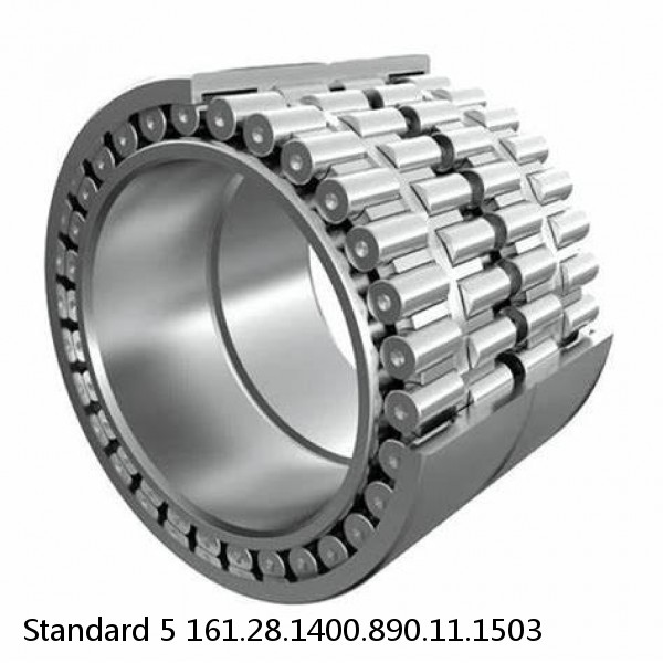 161.28.1400.890.11.1503 Standard 5 Slewing Ring Bearings