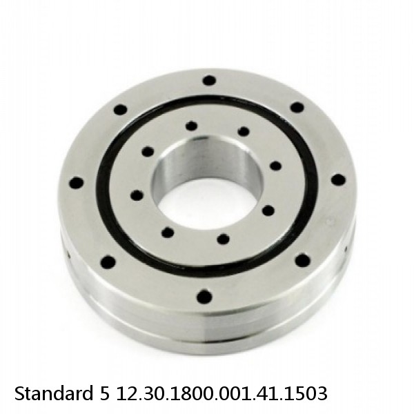 12.30.1800.001.41.1503 Standard 5 Slewing Ring Bearings