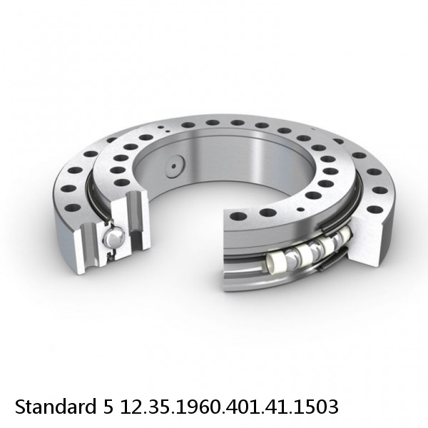 12.35.1960.401.41.1503 Standard 5 Slewing Ring Bearings