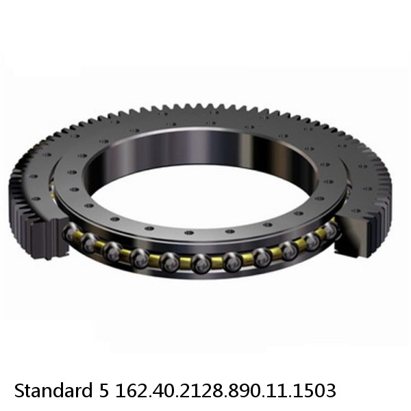 162.40.2128.890.11.1503 Standard 5 Slewing Ring Bearings